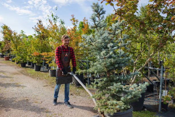 Best Seasonal Cleanup  in Lake Bluff, IL